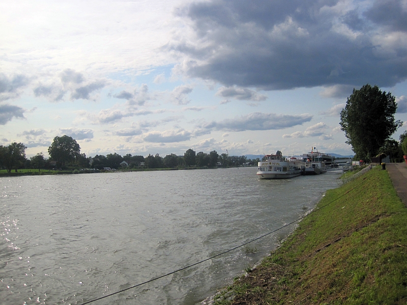 Rheinufer in Breisach