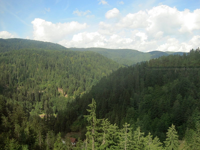 Blick aus dem Zugfenster bei der Fahrt auf der Schwarzwaldbahn