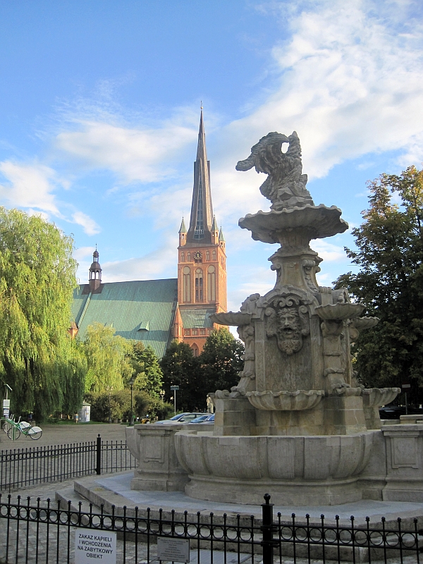 Rossmarktbrunnen vor der Jakobskathedrale Stettin / Szczecin