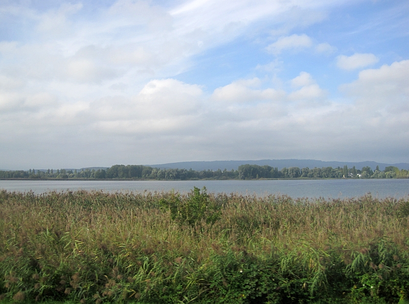 Fahrt am Untersee mit Blick zur Halbinsel Mettnau