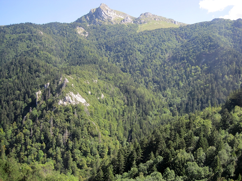 Blick vom Zug auf die Westalpen