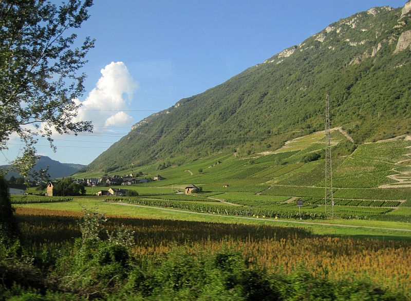 Fahrt am Rande des Weinbaugebiets Savoyen