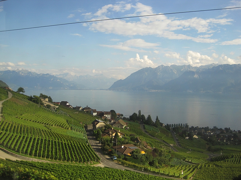 Seepanorama bei der Fahrt durch die Weinberge des Lavaux