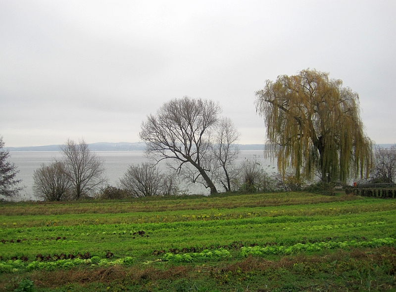 Blick auf den Bodensee bei der Fahrt auf der Seelinie