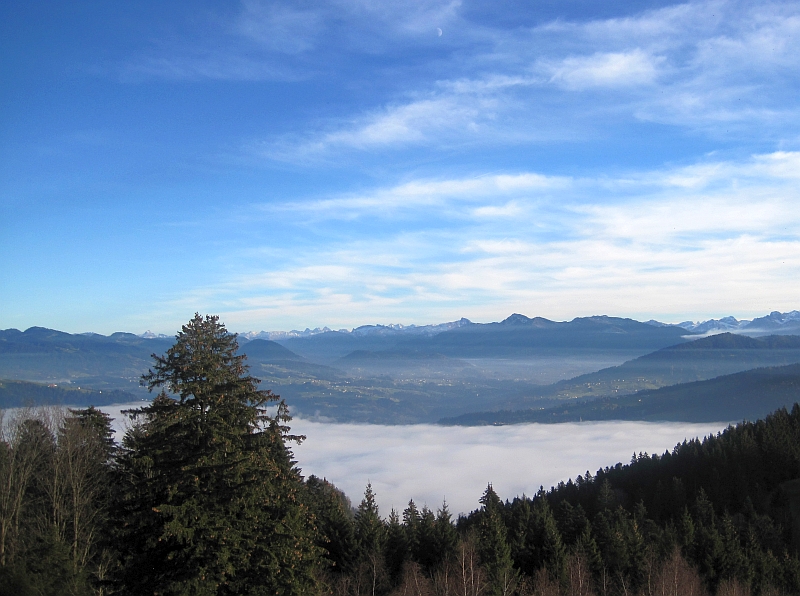 Blick vom Pfänder über den Bregenzerwald