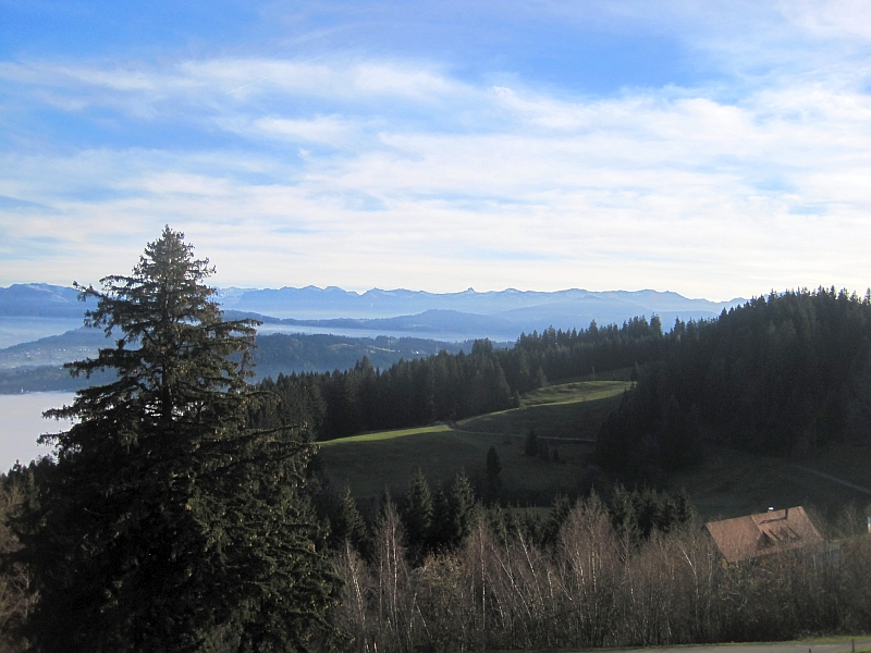 Alpenpanorama vom Pfänder-Gipfel
