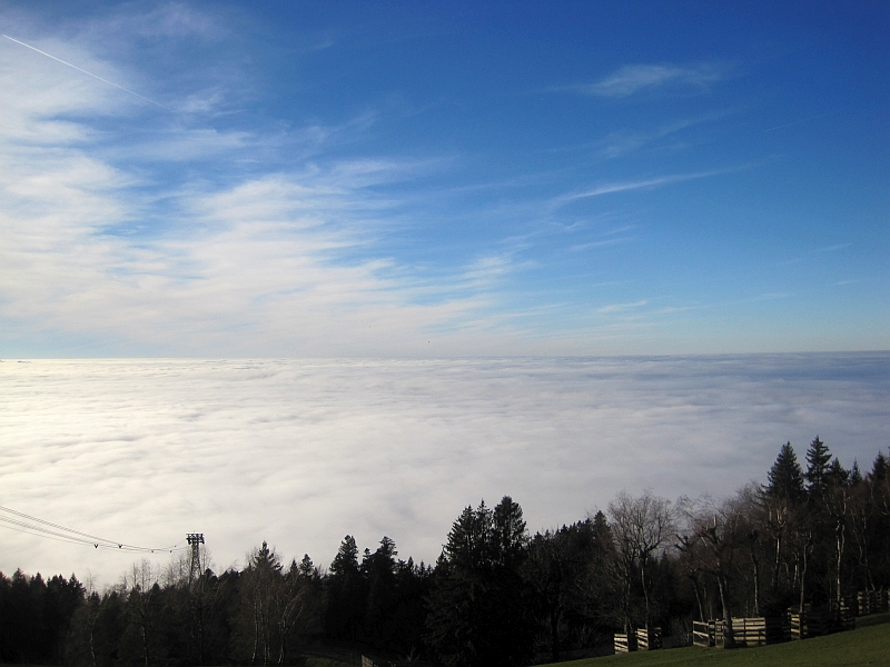 Nebel über dem Bodensee