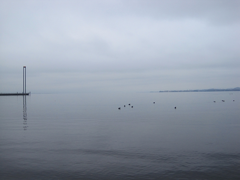 Bodenseeufer in Bregenz