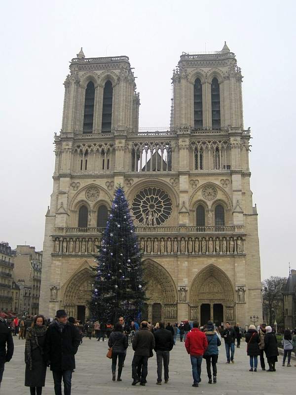 Weihnachtsbaum vor der Kathedrale Notre-Dame de Paris