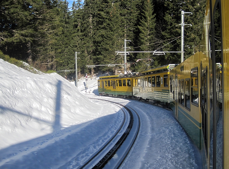 Fahrt mit der Wengernalpbahn