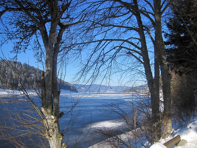 Blick über den winterlichen Schluchsee
