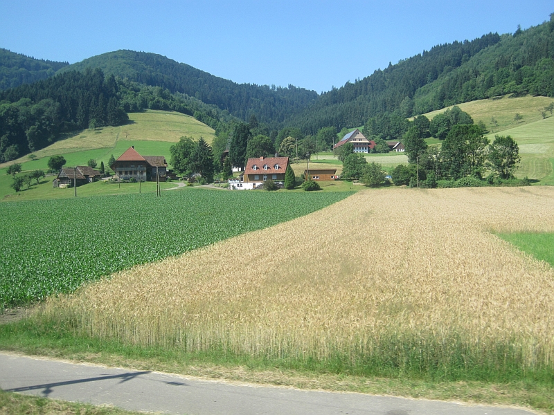 Fahrt mit der Schwarzwaldbahn durch das Kinzigtal