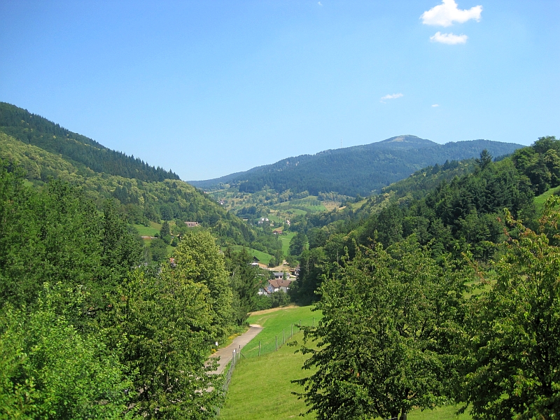 Schwarzwaldlandschaft bei Ottenhöfen