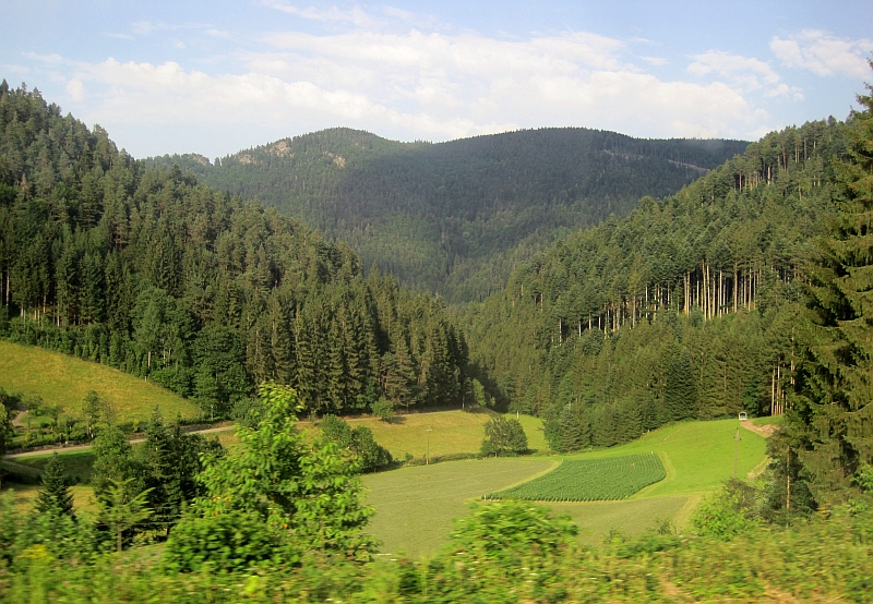 Blick aus dem Zugfenster auf der Fahrt auf der Schwarzwaldbahn