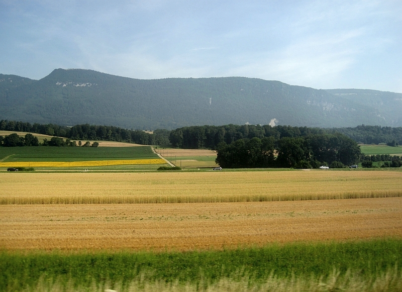 Blick aus dem Zugfenster zwischen Olten und Solothurn