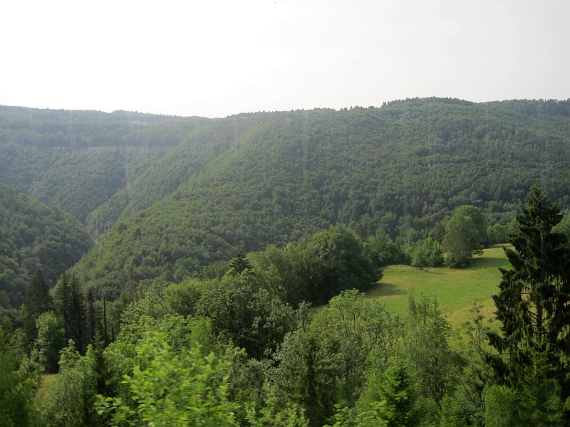 Bergwald zwischen Saint-Claude und Morez