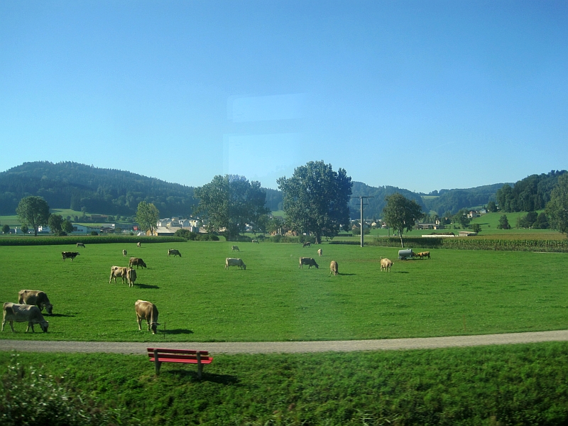 Fahrt im Eurocity durch die Ostschweiz