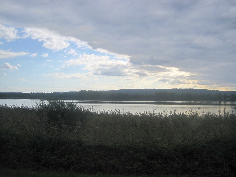 Blick aus dem Zugfenster auf der Fahrt am Untersee