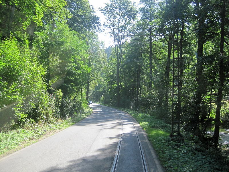 Gleise in Seitenlage der Kirnitzschtalstraße
