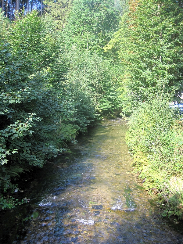 Kirnitzsch
