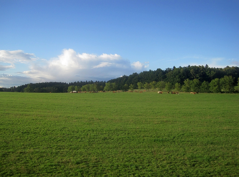 Fahrt mit der Nationalparklinie U 28