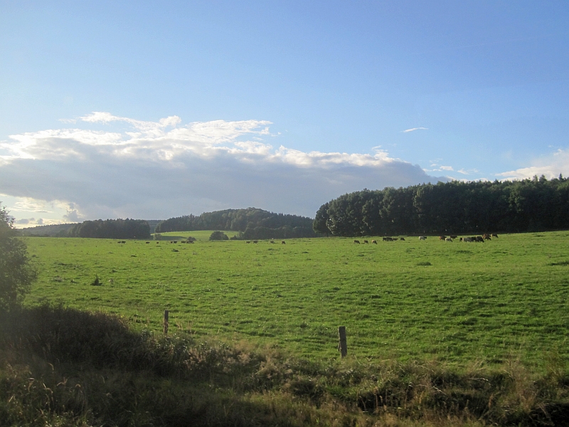 Blick aus dem Zugfenster auf der Fahrt zwischen Mikulášovice und Sebnitz