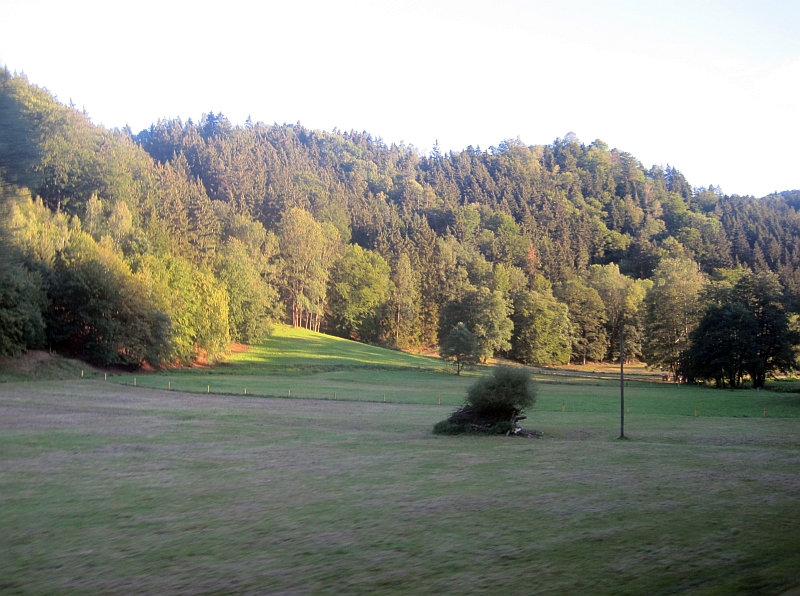 Fahrt auf der Sebnitztalbahn