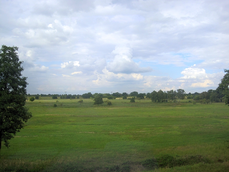 Blick aus dem Zugfenster bei der Fahrt nach Berlin