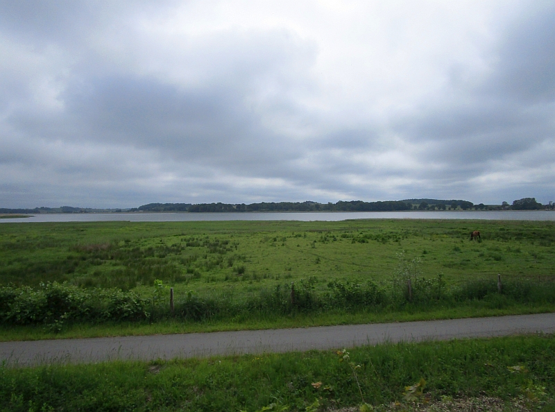 Blick auf den Selliner See