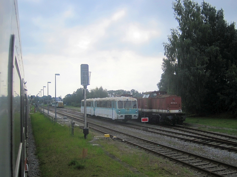 Abgestellte Triebwagen ('Ferkeltaxen') in Zinnowitz