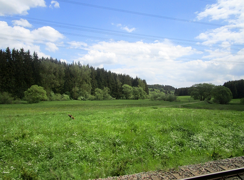Fahrt durch das Ahrgebirge