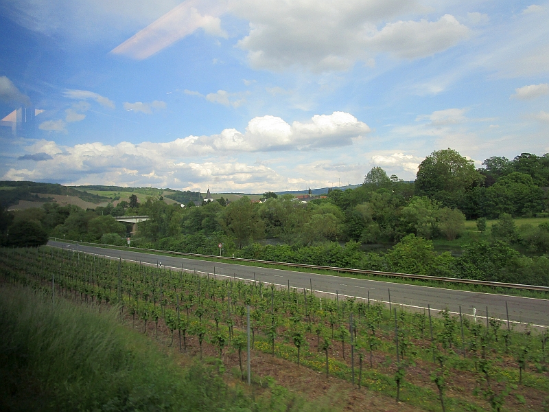 Anbaugebiet des Saarweins