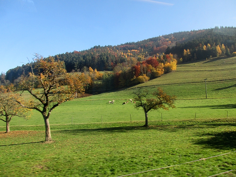 Schwarzwaldlandschaft am Ausgang des Höllentals