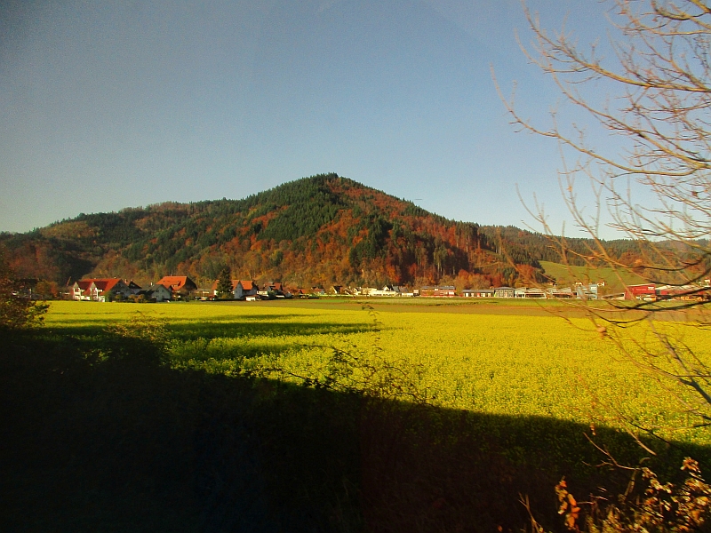 Fahrt von Elzach nach Waldkirch