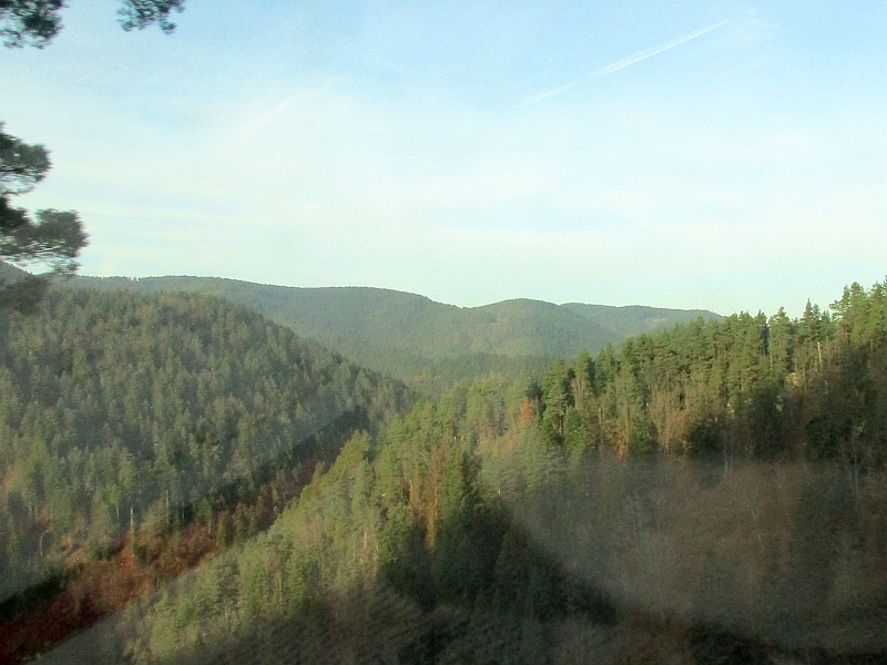 Schwarzwaldlandschaft vor dem Zugfenster