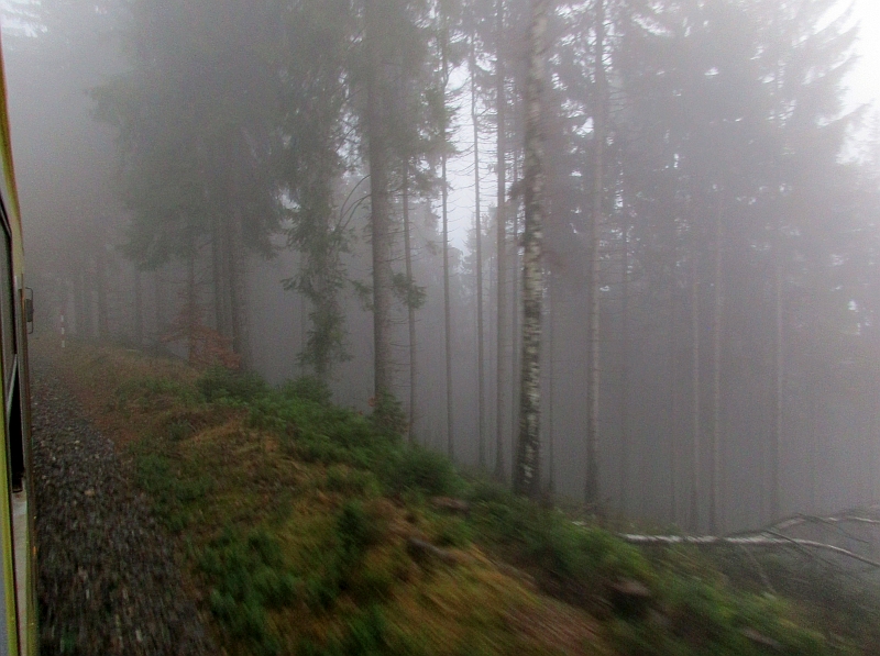 Fahrt im Nebel zum Erzgebirgskamm