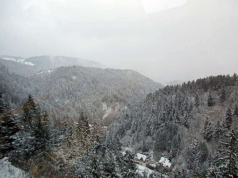 Blick aus dem Zugfenster auf der winterlichen Schwarzwaldbahn