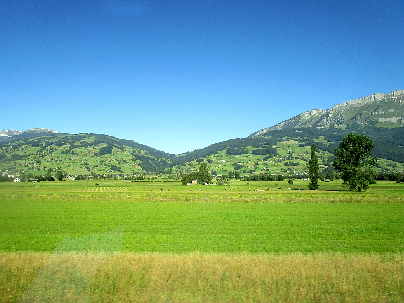 Blick aus dem Zugfenster bei der Fahrt durch das Rheintal