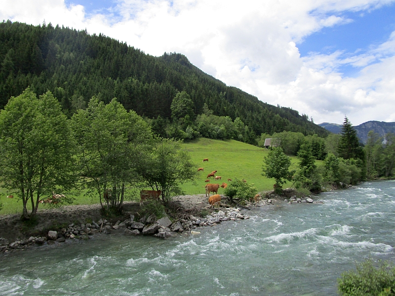 Fahrt mit der Pinzgauer Lokalbahn entlang der Salzach