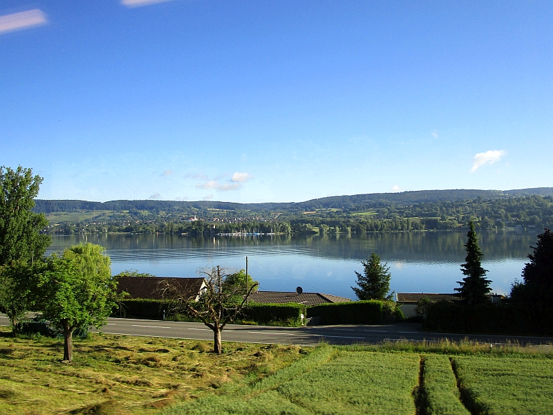 Rhein mit dem Ort Öhningen auf der Halbinsel Höri