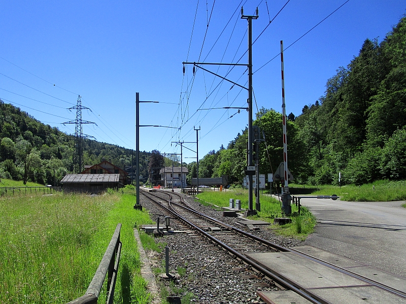 Einfahrtsgleis in den Bahnhof Sihlwald