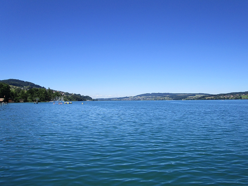 Am Ufer des Hallwilersees