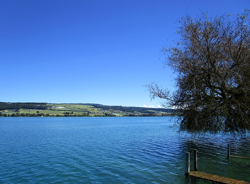 Hallwilersee bei Beinwil