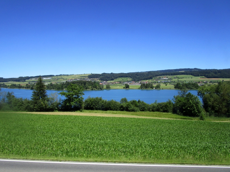 Blick vom Zug auf den Hallwilersee