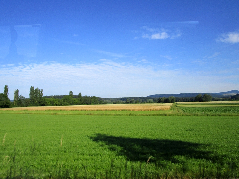 Busfahrt durch den Hegau