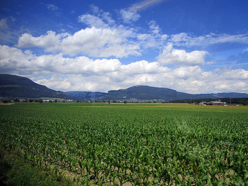 Fahrt durch den Oberaargau