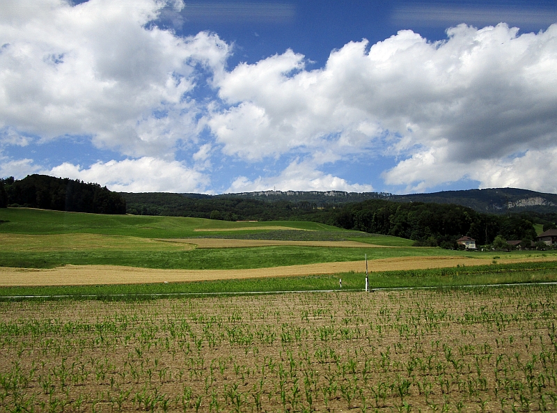 Fahrt am Jurasüdfuß