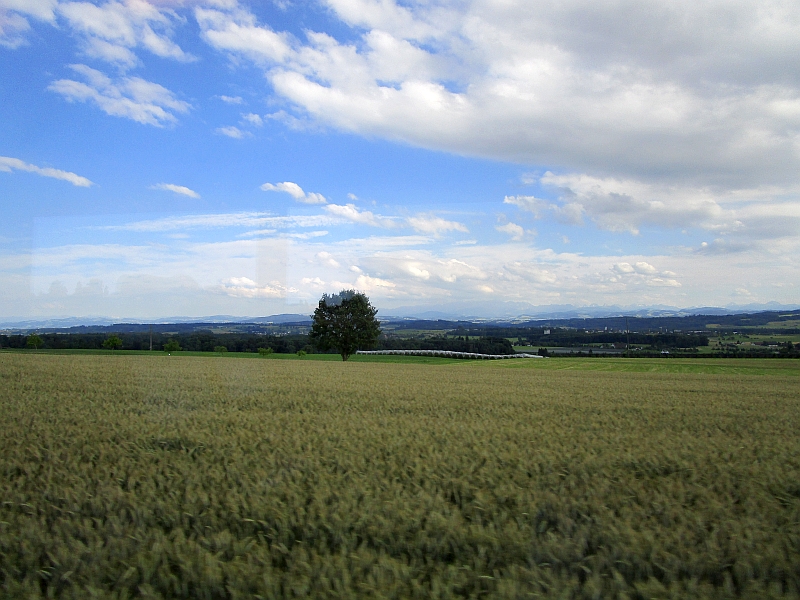 Fahrt über den Seerücken von Weinfelden nach Kreuzlingen