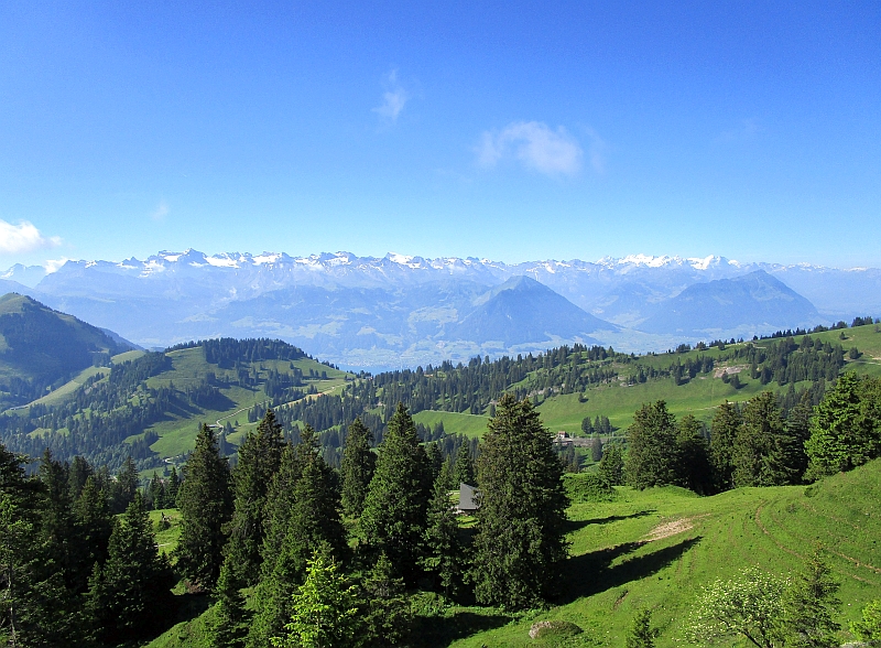 Blick aus dem Zugfenster bei der Bergfahrt