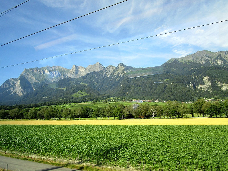 Fahrt durch das Rheintal